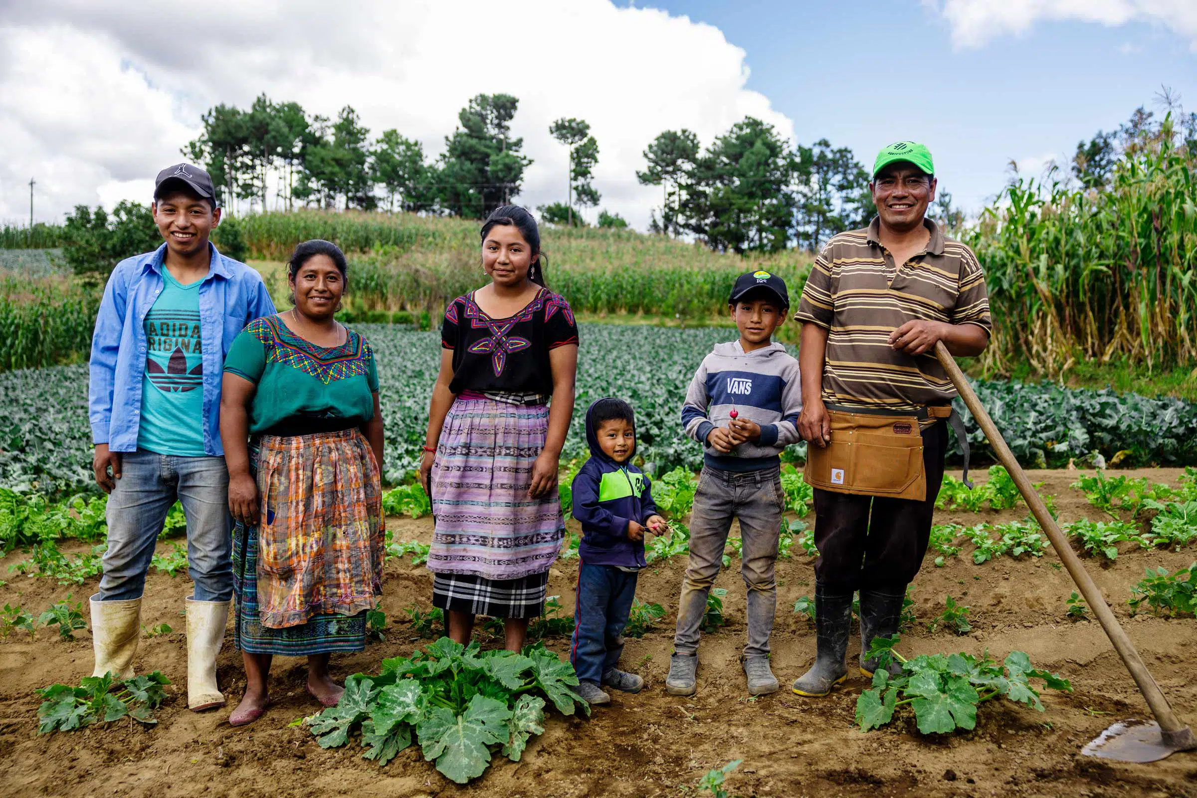Guatemala Agriculture