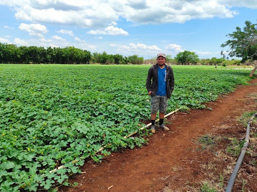 farming out of poverty Nicaragua