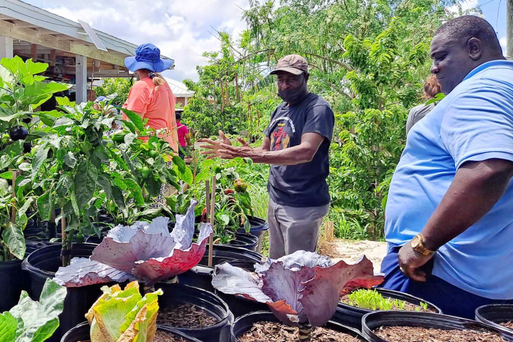 Convoy and USAID help farmers in the bahamas
