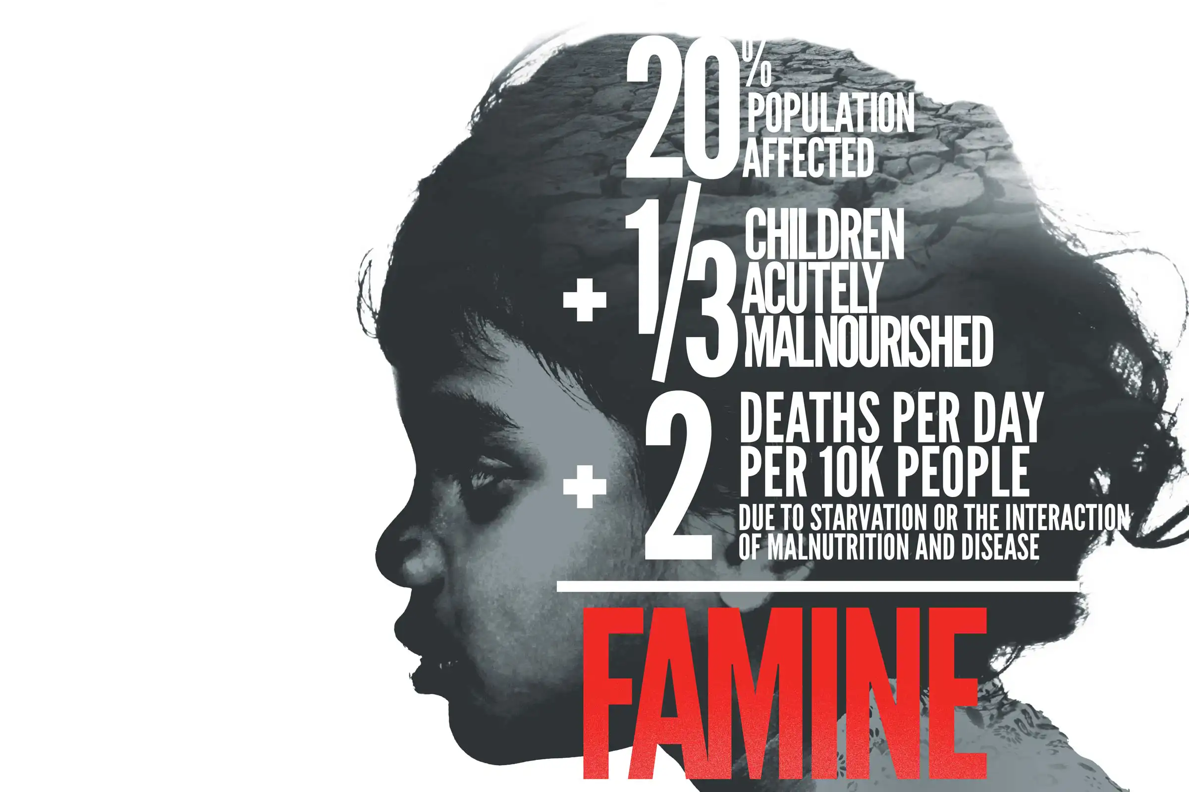 Famine Infographic