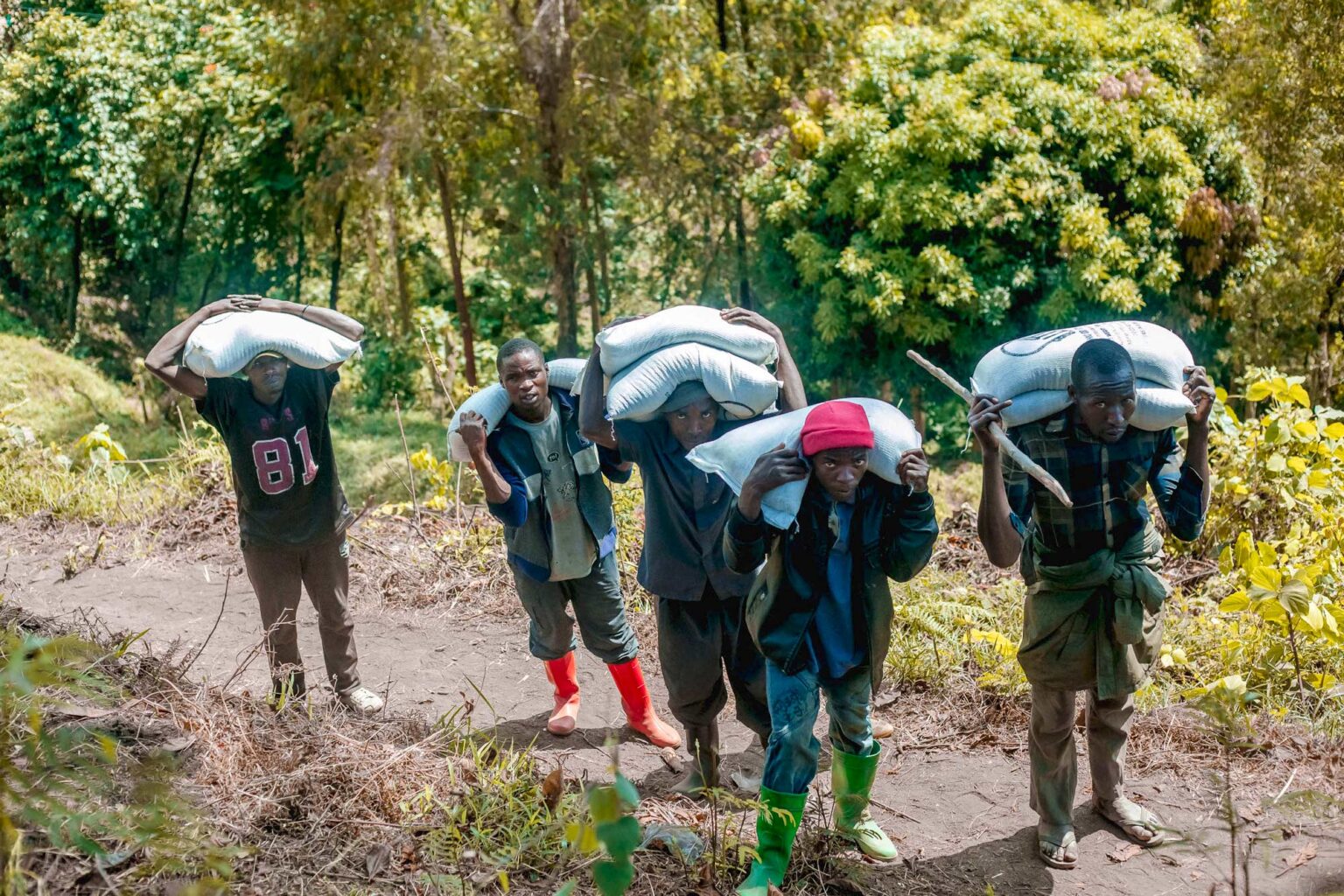 Flooding In The Democratic Republic Of The Congo Prompts Response ...