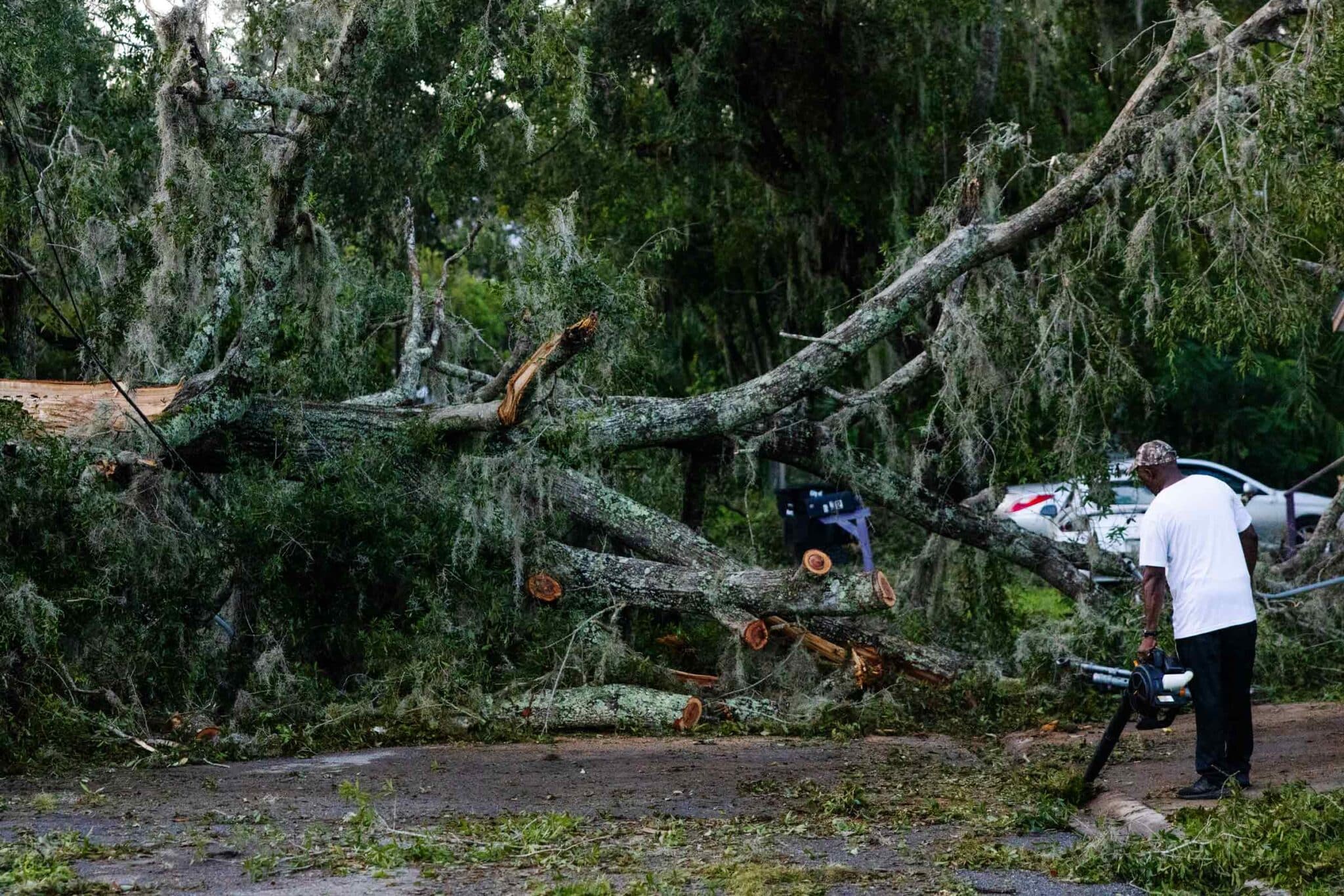 Hurricane Debby 2024 Orlando News Doris Germain