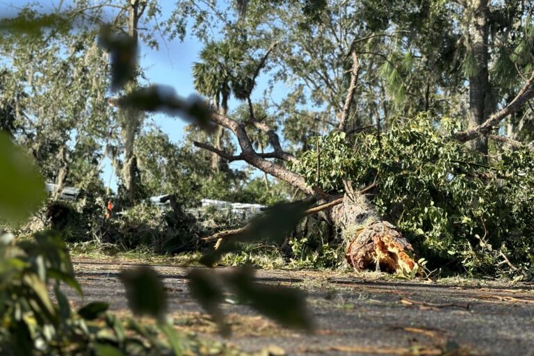 Convoy Is Distributing Relief To Communities Affected By Helene ...