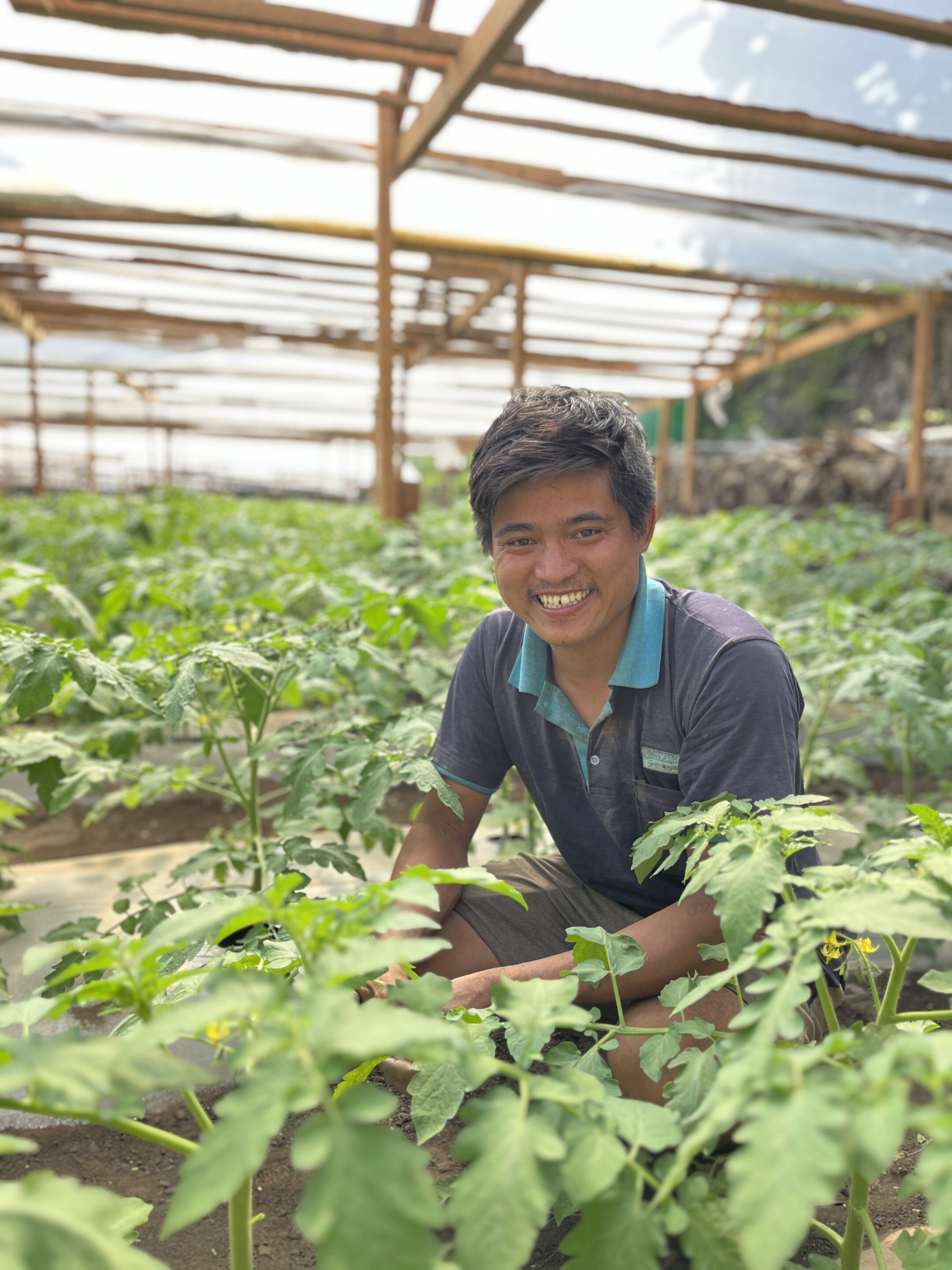 A farmer in Nepal smiles and kneels among his flowering tomato crops.